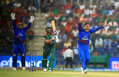 Afghanistan vs Bangladesh: ICC Cricket World Cup 2023 preview