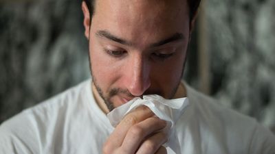 Study Suggests ‘long Colds’ May Have Lasting Health Impacts Similar To Long COVID