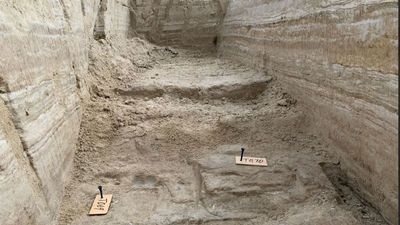 Oldest Human Footprints In North America Date Back Over 20,000 Years