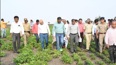 Central drought assessment teams visit Dharwad, Davangere districts