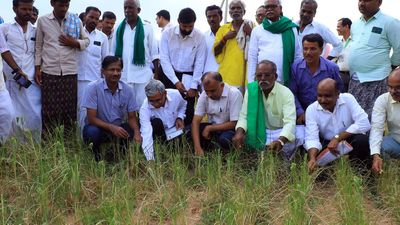 Central team takes stock of drought in Vijayanagara and Ballari districts