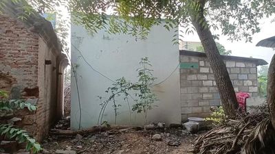 Man arrested for growing ganja in his house in Jolarpet
