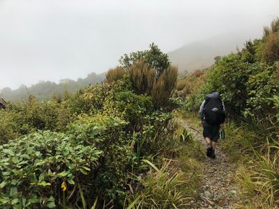 Paparoa Track: the challenging road to New Zealand’s 10th great walk