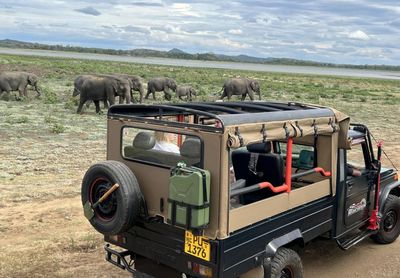 My travels in Sri Lanka – and why Scotland loves this country