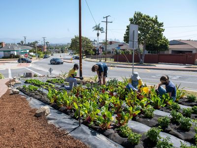 Individual actions you can take to address climate change