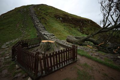 Sycamore Gap tree detectives ‘hunting key clue which might crack case’