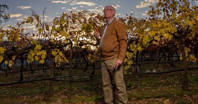 'Everyone's replaceable': Ken Helm resigns from Riesling Challenge