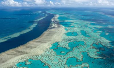 Groundwater a significant source of pollution on Great Barrier Reef, study shows