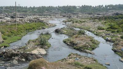 Tamil Nadu Assembly to convene on October 9 amid Cauvery issue