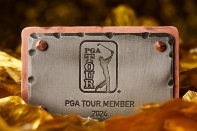 Meet the 30 Korn Ferry Tour golfers who earned PGA Tour cards for 2024 season