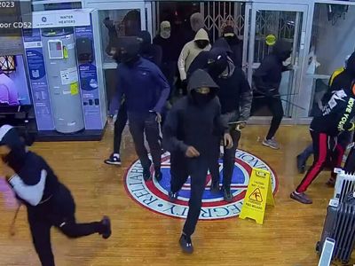 Videos of 'flash mob' thefts are everywhere, but are the incidents increasing?