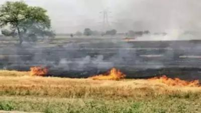 AAP demands Haryana govt to take proactive measures to control farm fires