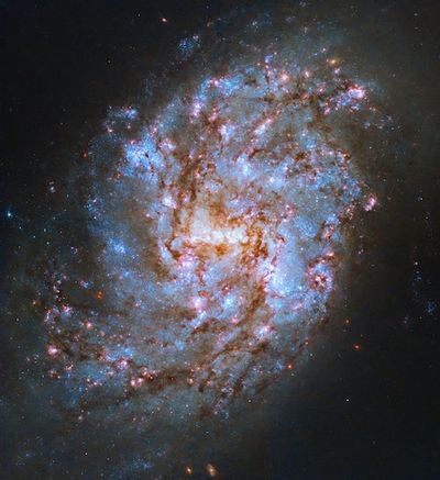 Hubble Snapped An Image Of A Galaxy Bursting With Stellar Nurseries