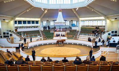 Talking Horses: bloodstock auction price fall is no reason to panic