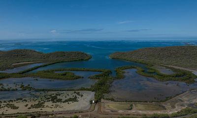 Parties, jetskis, second homes: how tourism threatens one of the world’s only bioluminescent bays