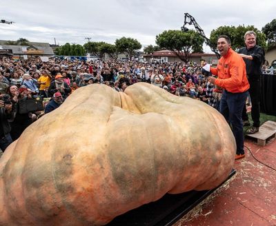 Squash goals: Minnesota man’s 2,749lb pumpkin sets world record