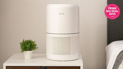 Amazon's bestselling air purifier with 67,000+ perfect ratings is its lowest price ever in exclusive Prime Day deal