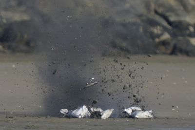 Controlled explosion on Irish beach after historical device discovered