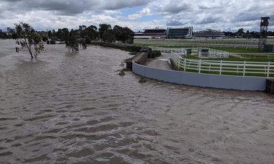 Flemington racecourse flood wall ‘served its purpose’, Victoria Racing Club boss tells inquiry