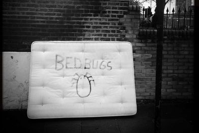 Everything you need to know about bedbugs as increase in numbers is predicted