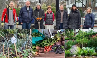 Fruit, wildflowers, insects: the people transforming disused land in England