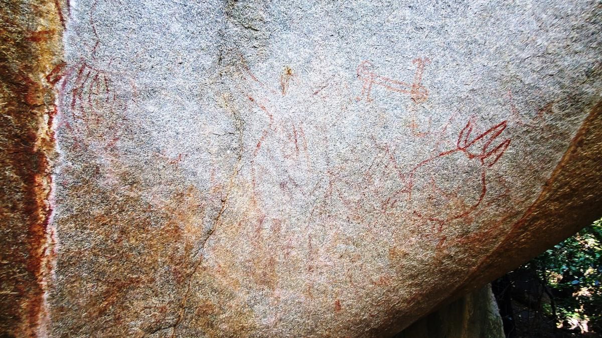 Mesolithic rock art find adds to Hyderabad’s history