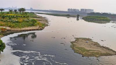 Islands of trouble in the Hussainsagar