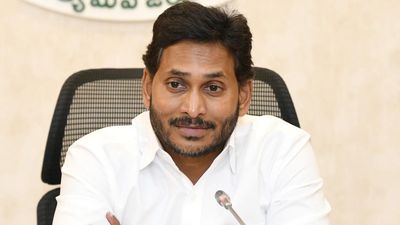 Kodi-Kathi case: Jagan files petition in High Court seeking a probe into larger conspiracy behind the incident