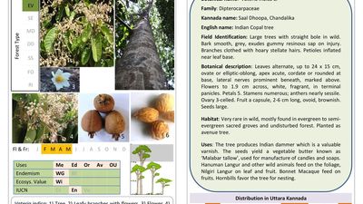 Understanding the flora of the Western Ghats made easier with a pictorial manual