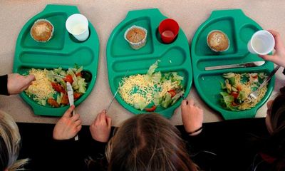 Children should get one healthy school meal a day, say EU experts