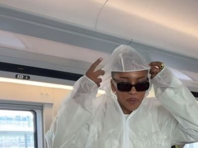 Woman dons full hazmat suit on Eurostar to avoid bedbugs