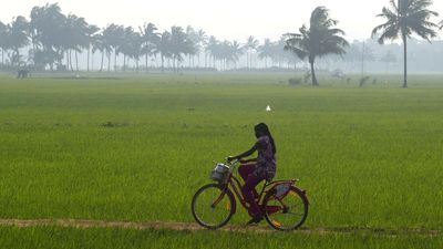 Kerala puts in motion process to measure Panchayat Development Index