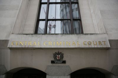 Alleged IS member facing five terror charges appears in court