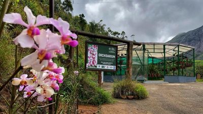 Orchidarium at ENP a major tourist draw