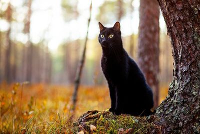 The Friday the 13th superstitions that carry on to this day