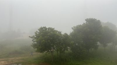 Vellore, nearby districts experience dip in temperature, misty mornings