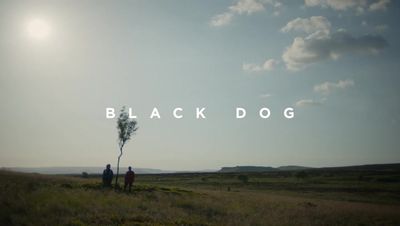 Black Dog at the BFI London Film Festival: a moving, rough-and ready road-trip drama