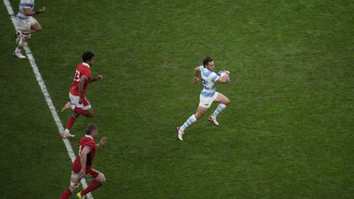 Argentina outwit Wales to reach Rugby World Cup semi-final