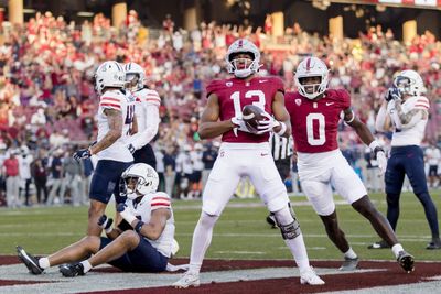 Who is Stanford wide receiver Elic Ayomanor?