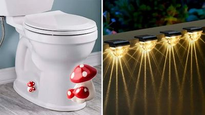 85 weird things getting wildly popular on Amazon because they're amazeballs