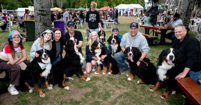 Dogs of all shapes and sizes enjoy Floriade's last day