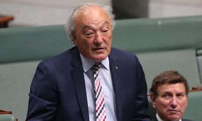‘Echo chamber of elites’: outer urban areas ignored by yes campaign, Labor MP Mike Freelander say