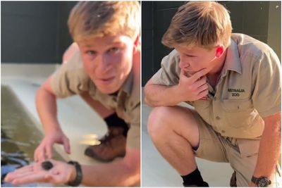 Steve Irwin’s son Robert Irwin becomes emotional after breeding rare turtle named after late TV star