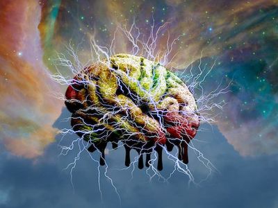 Psychedelics Seem to Change How Fast Our Brains Learn — Researchers Might Know How