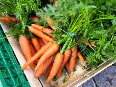 Can Eating Carrots Give You a Natural Tan? The Science Behind This Bizarre Medical Quirk