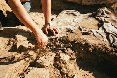 Ancient Tool Discovery Could Redefine a Chapter of Early Human History