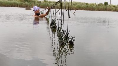 Pearl farming in Bihar is slowly catching the light