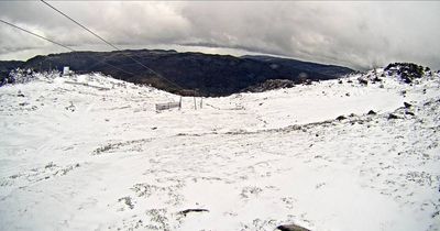 Canberra's chilly spring weather records sub-zero temperatures