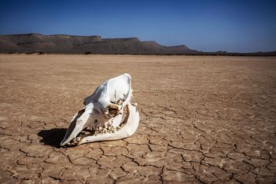 Our planet is simply getting too hot