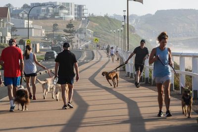 Man dies after being attacked by his own dog at home in Tasmania